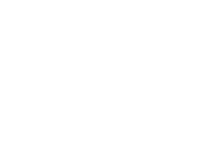 Melbourne Storm logo